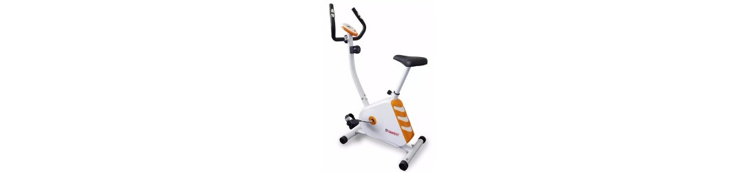 Bicicletas fijas
